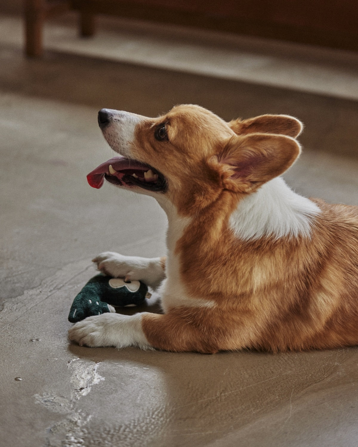 Use more care around children and pets.