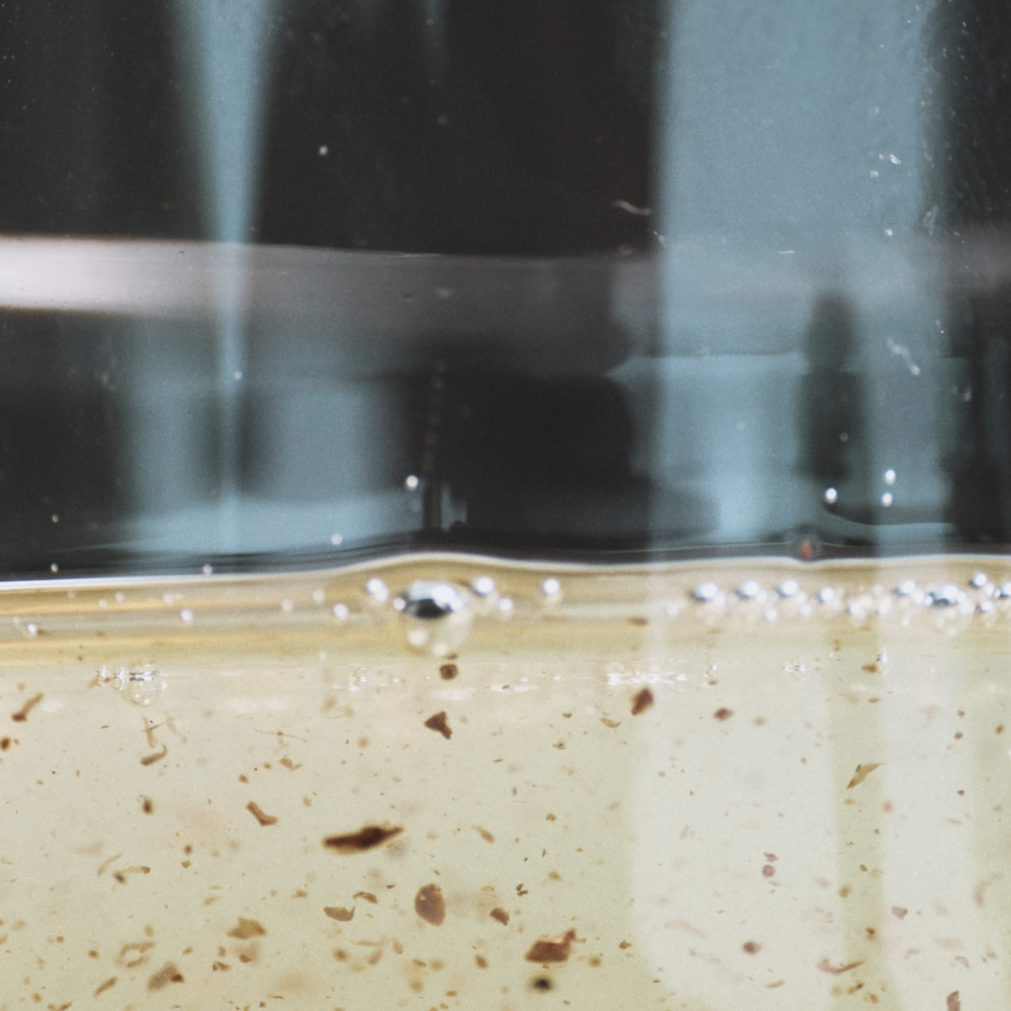 The Body Wash 15.2 fl oz (450mL)