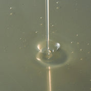 The Hand Wash 15.2 fl oz (450mL)