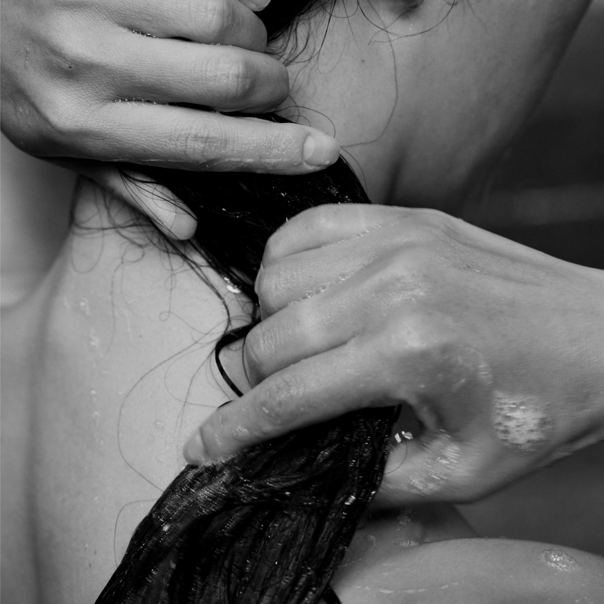 The Shampoo 15.2 fl oz (450mL)