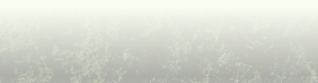 homepage-quote.webp