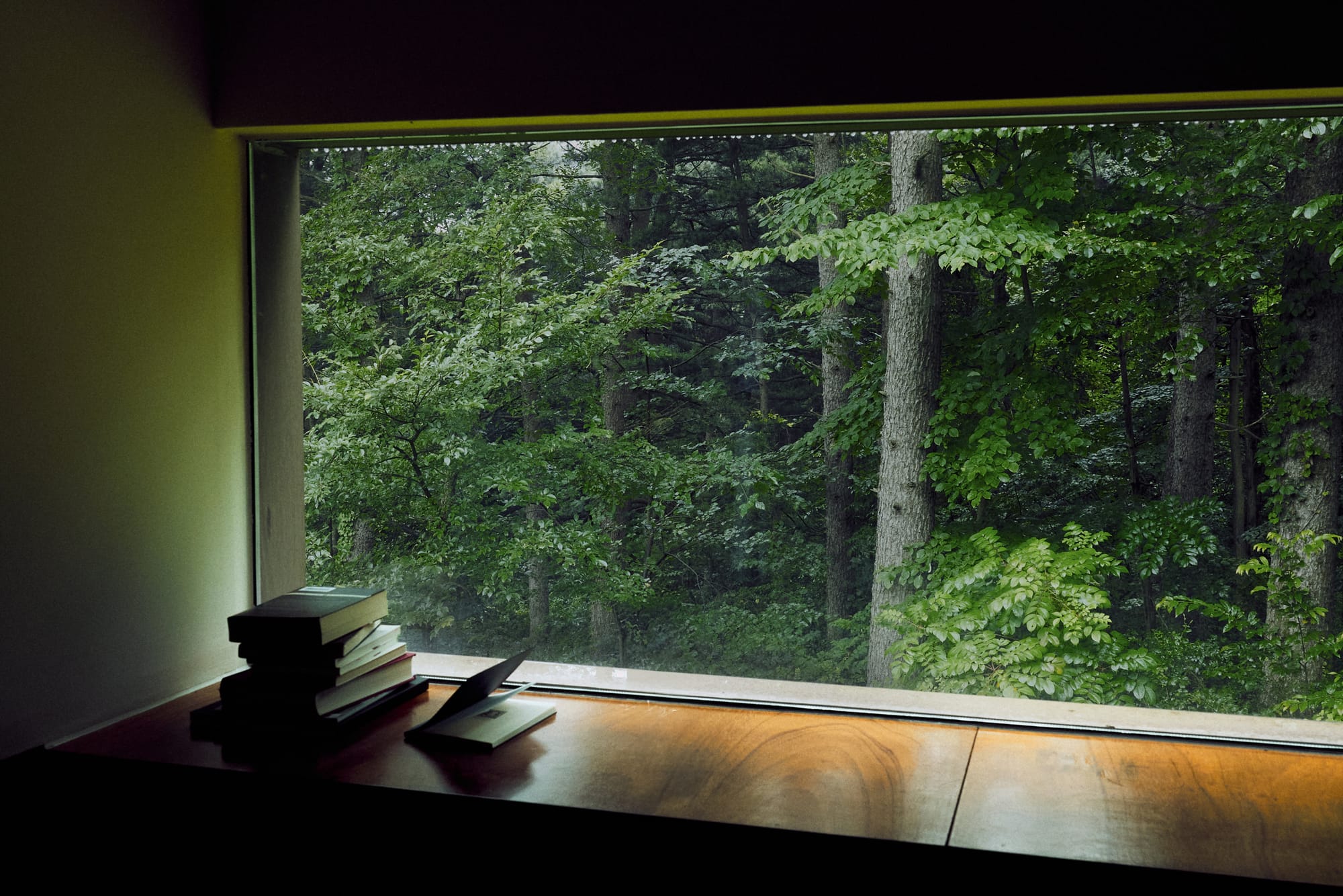 Bring the forest home